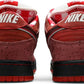 NIKE - Nike Dunk Low Premium SB Red Lobster x Concepts Sneakers